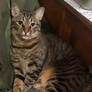 Meet your Posher, Eleanor